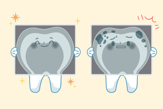 toth with dental concept