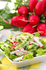 Fresh salad with radishes, cucumbers and olive oil