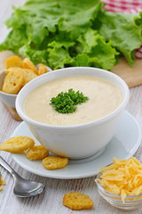 Cream soup with chicken and cheese