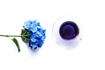 cup of butterfly pea tea and hydrangea