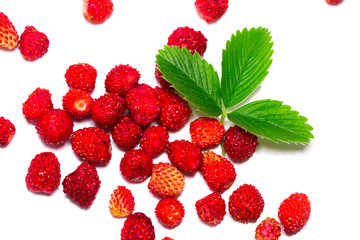 wild strawberrys with leaves. Isolated on a white background