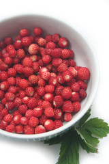 Fresh wild straberries in a bowl on white background. Summer fruits