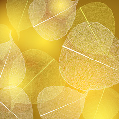 Background with green and white leaves.