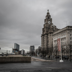 Obraz premium Royal Liver Building