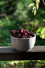 food, healthy, cherries, organic, natural background, nature, balcony, view from balcony, tasty, sweet, summer