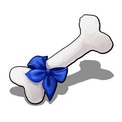 Bone is made of cotton tied with blue ribbon with bow isolated on white background. Vector cartoon close-up illustration.