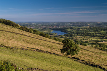 A lone tree at sunset on the Roaches, Staffordshire in the Peak District National park. Tittersworth reservoir can be seen in the distance.