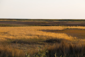 View on the Sivash lake, Ukraine