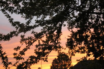 Sunset Sillouhettes 2