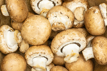 Closeup of fresh raw brown champignons flatlay.