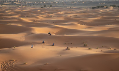 Fototapeta na wymiar Na pustyni