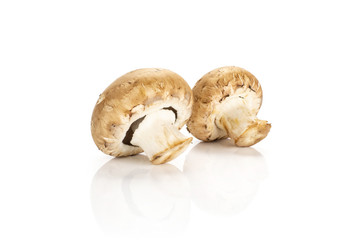 Two fresh brown champignons in row isolated on white background raw mushrooms.
