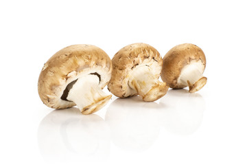 Three fresh brown champignons in row isolated on white background raw mushrooms.