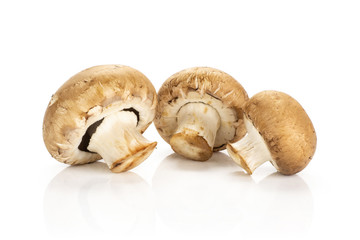 Three fresh brown champignons isolated on white background raw mushrooms.