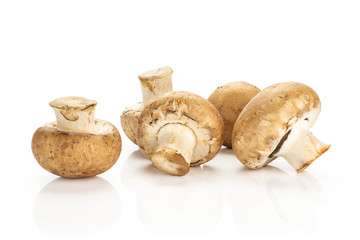 Five fresh brown champignons stack isolated on white background raw mushrooms.