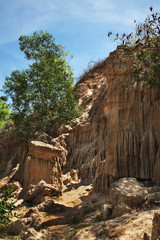 Obraz premium Fairy Stream - Red Canyon between Phan Thiet and Mui Ne. Vietnam