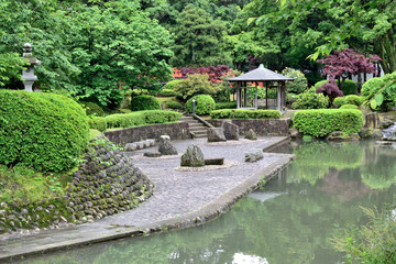 Fototapeta na wymiar 富山市 松川公園の池