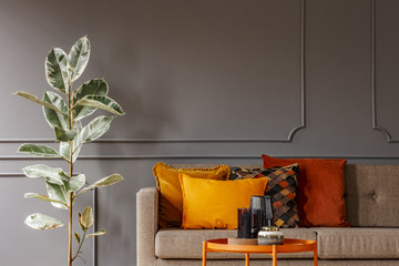 Ficus next to brown sofa with orange pillows in grey living room interior with table. Real photo