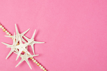 Seashells and starfish on pink background.