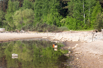 reflection of the forest in the water