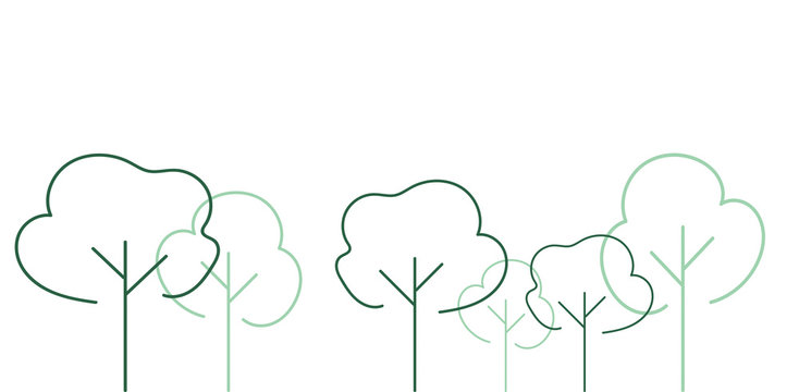 natura, alberi, albero, foresta, bosco,