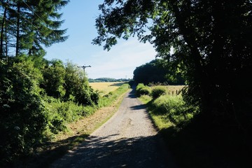 Country Road