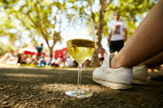 A glass of white wine standing on the ground in a park on a chilling party