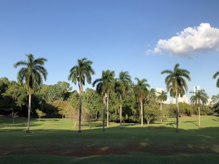 Omar Torrijos Park