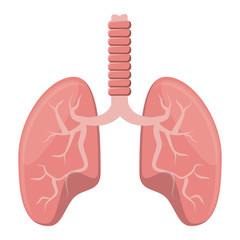 human lungs icon over white background, vector illustration