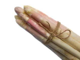 White asparagus bunch binded by rope over the white background