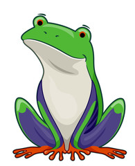 Tree Frog Illustration