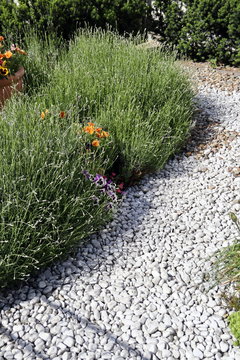 Kiesweg im Garten