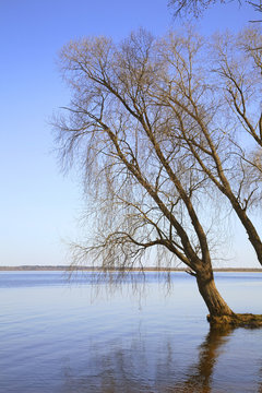 View of Toropets. Tver Oblast. Russia