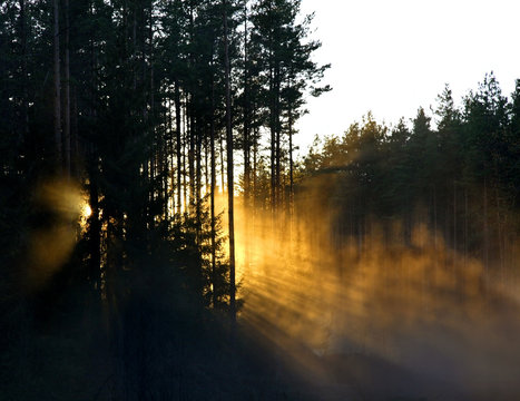 Landscape near Toropets. Tver Oblast. Russia