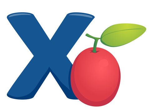 X for Ximenia Illustration