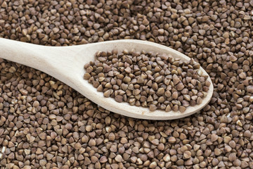 Wooden spoon with raw buckwheat groats