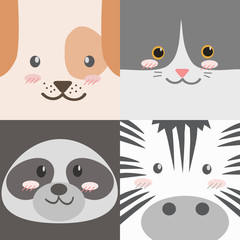 Cute adorable square animals cartoon faces dog cat raccoon zebra puppy kitten wallpaper