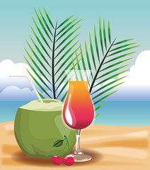 Coconut cocktail and leaves vector illustration graphic design