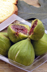 Ficus carica Fico Higo Fig Fichi 