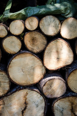 Fototapeta premium Holzstapel mit Plane