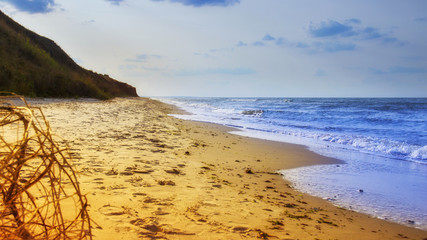 yellow sand beach near the blue beautiful sea