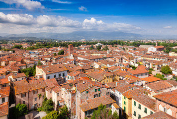 Fototapeta na wymiar Lucca old town rooftop cityscape Tuscany Italy
