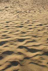 Real beach sand texture