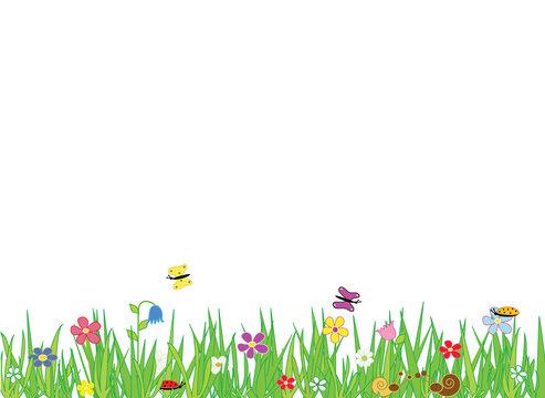 Meadow border with flowers and insects, place for text. Format vector and jpg.