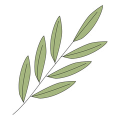 branch with leafs decorative icon vector illustration design