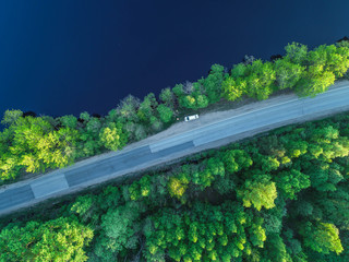 the road along the coast of the Gulf of Finland in the middle of the forest