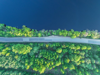 the road along the coast of the Gulf of Finland in the middle of the forest