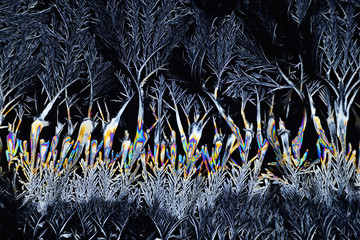 Colorful Micro Crystals in polarized Light