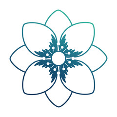 beautiful flower decorative icon vector illustration design