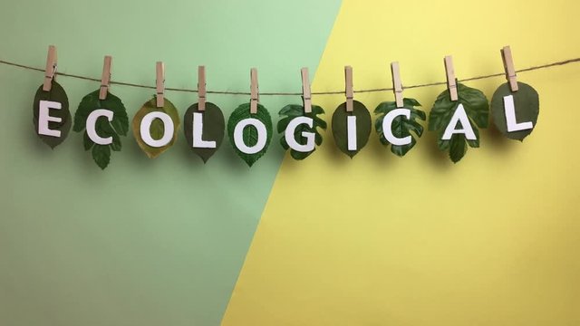 Palabra &ldquo;ecological&rdquo; en una cuerda con pinzas y hojas.